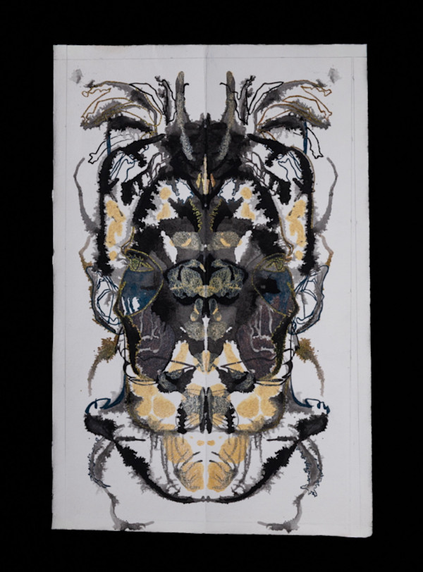 Coleoptera by Alana Walters