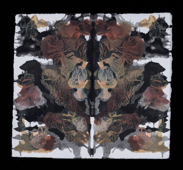 Claymore by Alana Walters