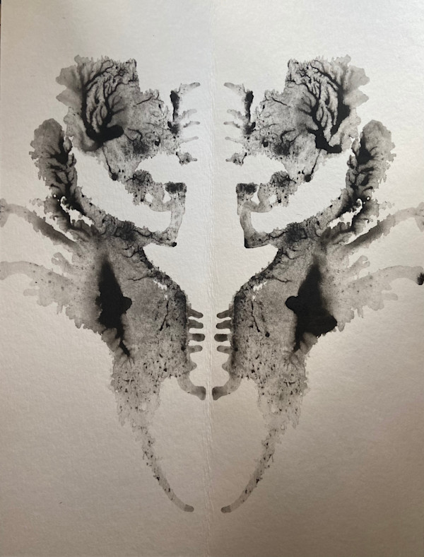 Fate’s Embrace by Alana Walters