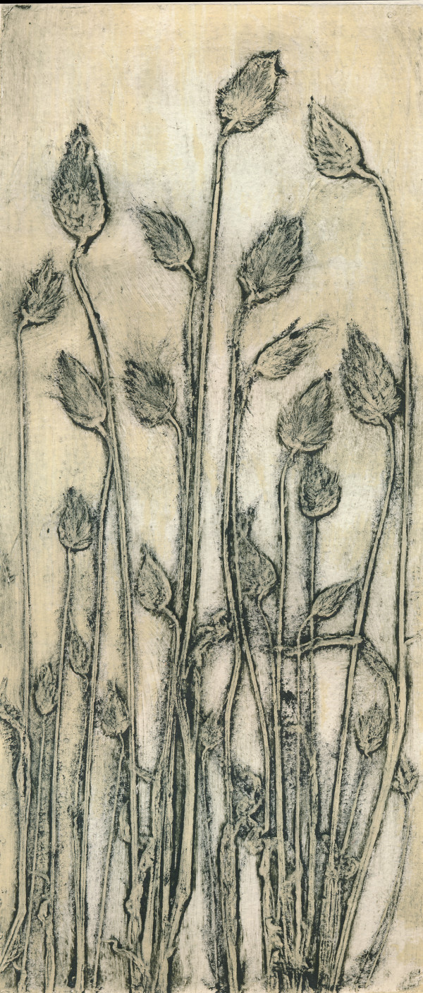 Cotton Tail Grass 2, 1/5 1 by Jacky Lowry