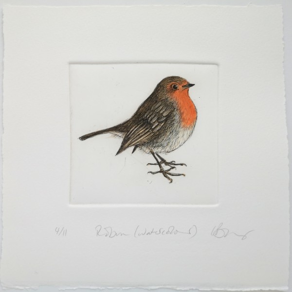 Robin (watercolour) 4/11