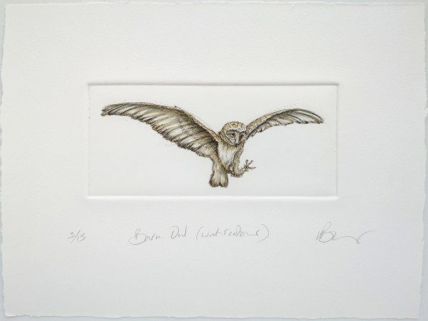 Barn Owl (watercolour) 3/15