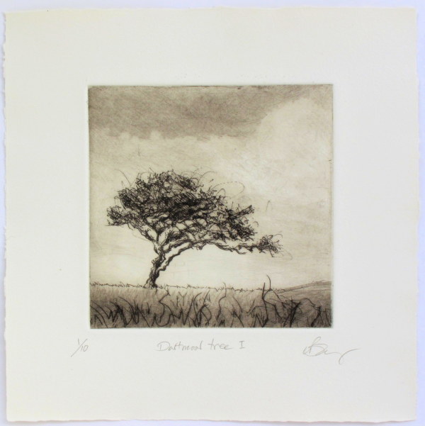 Dartmoor Tree I 1/10