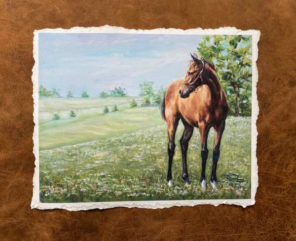 The Filly (Giclee) 6 by Salina Ramsay