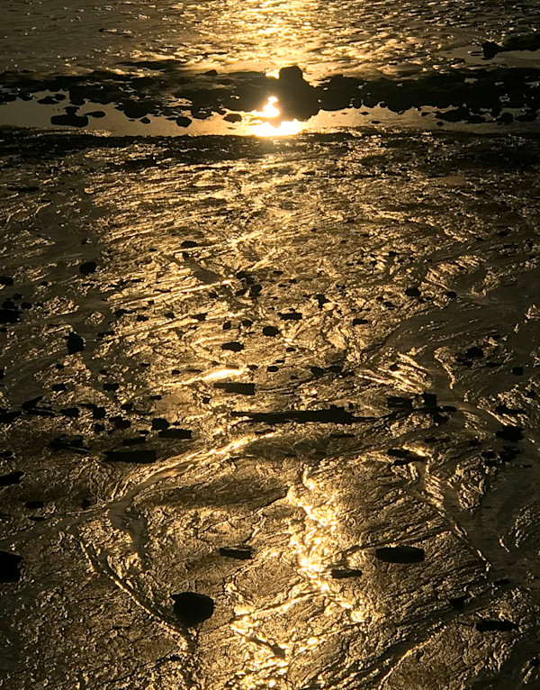 Golden Morning in Maine 2/200 by Elaine Pratt