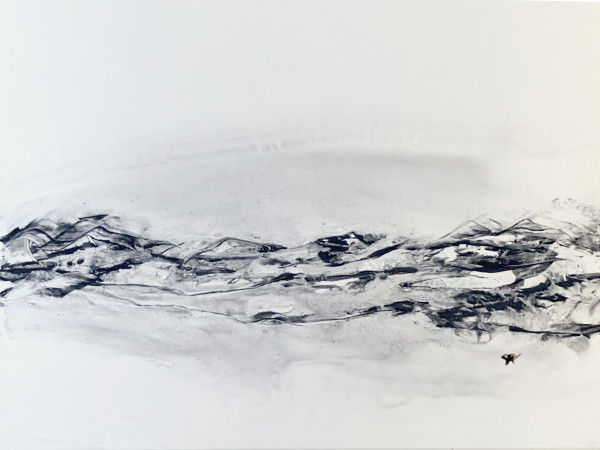 Ebony And Ivory 1/1 by Susi Schuele