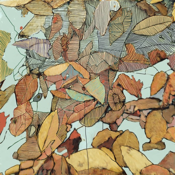 Leaves in Ice - Lyon  Brook #2   New London 1/5 by Peter Anderson