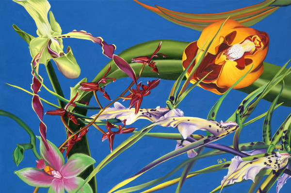 Enter the Orchids #1 by Jennifer Brewer Stone