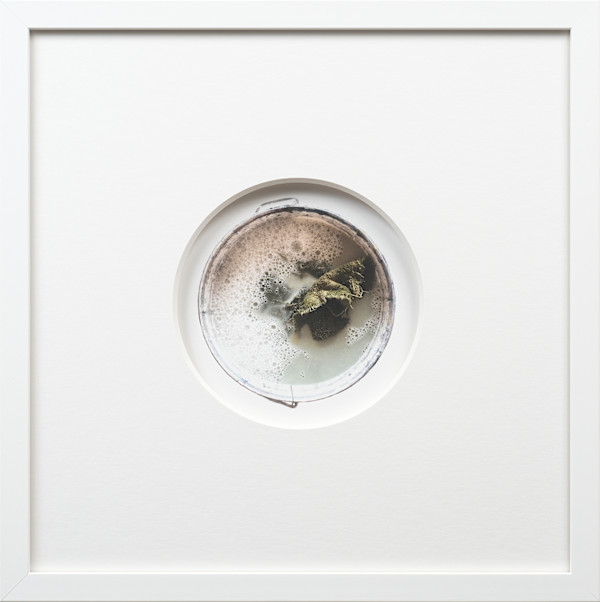 Waterbucket IIWAI 30 1/3 by Lisa Ochowycz