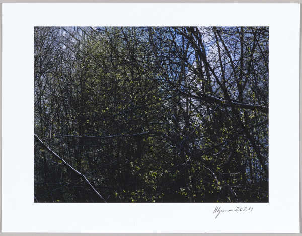 Mossen, N°10 1/24 by Hlynur Helgason