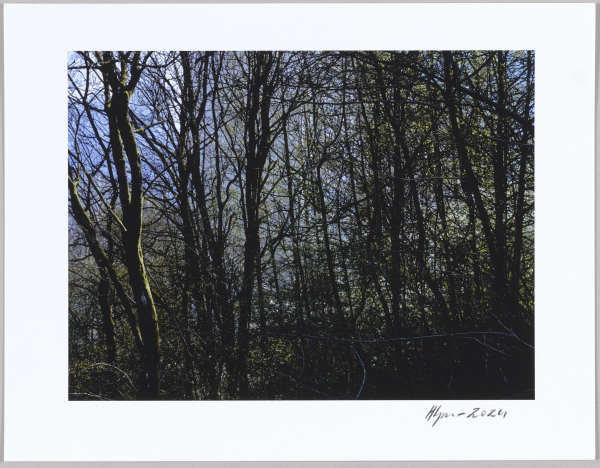 Mossen, N°14 1/24 by Hlynur Helgason