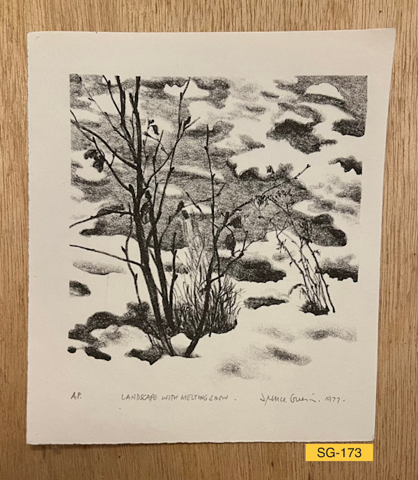 Landscape with Melting Snow Proof #1 by Spence Guerin