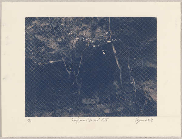 Í viðjum / Bound N°15, 2024, cyanotype photographs 1/16 by Hlynur Helgason