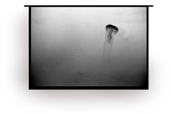 Agua viva ( coney island) 1/2 by Isidora Gajic