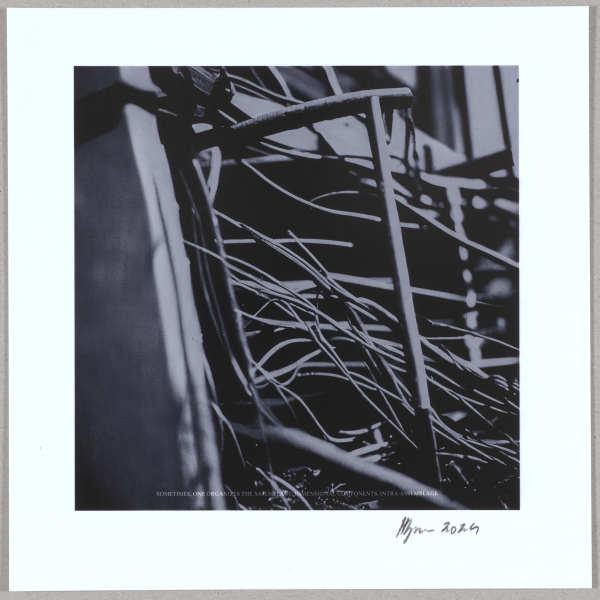 Biomécanique N°4 – fine art photograph 1/10 by Hlynur Helgason