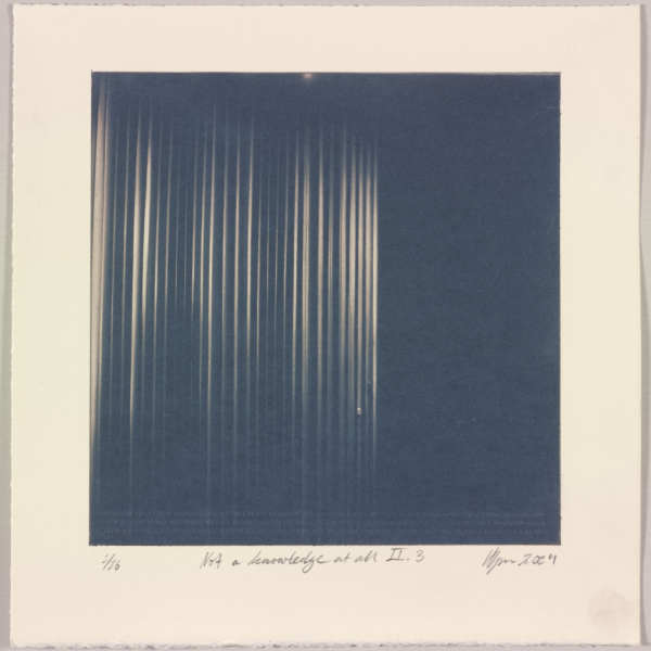 Not a knowledge at all II.3 – generated cyanotype photograph 1/6 by Hlynur Helgason