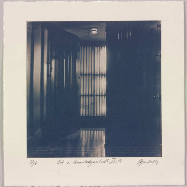 Not a knowledge at all II.9 – generated cyanotype photograph 1/6 by Hlynur Helgason