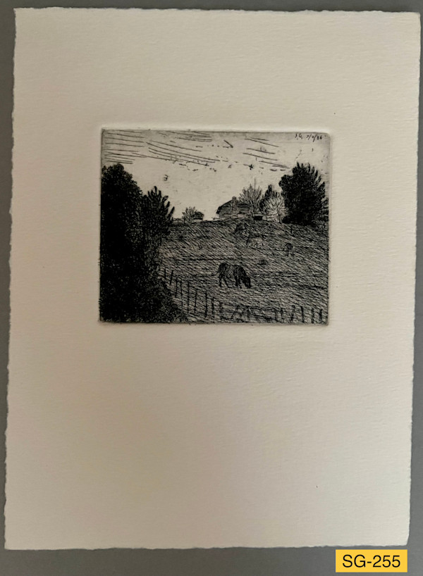 Farm on Hwy. 64, Hendersonville #1 by Spence Guerin