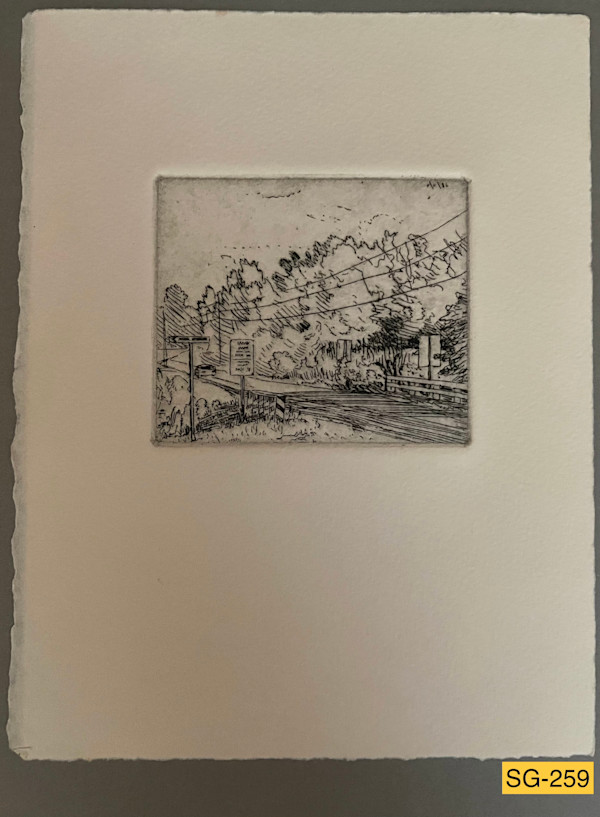 Road near Hendersonville #1 by Spence Guerin