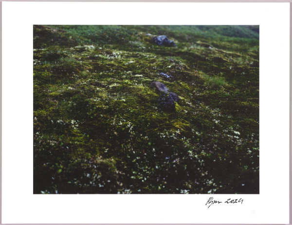 Lush heathlands — Oddskarð, Iceland N°2 1/24 by Hlynur Helgason
