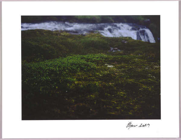 Lush heathlands — Oddskarð, Iceland N°13 1/24 by Hlynur Helgason