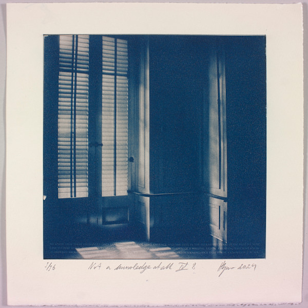 Not a knowledge at all IV.8 – generated cyanotype photograph 1/6 by Hlynur Helgason