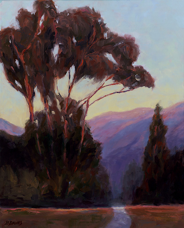 Eucalyptus Trail: 20" x 24" Giclee Print, #1 by Barbara Davies