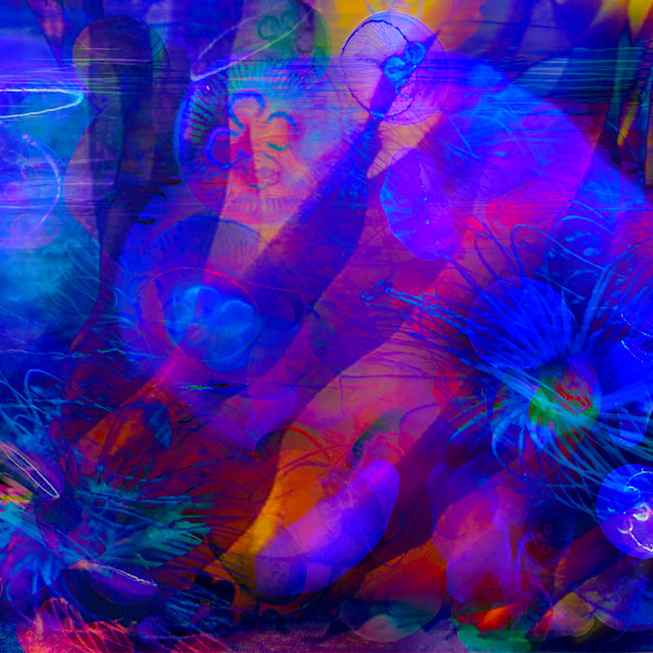 Within, Print 2/200 by Elaine Pratt