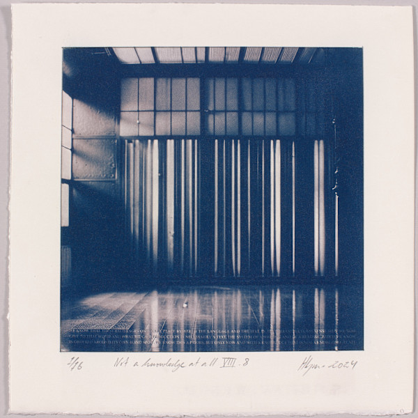 Not a knowledge at all VIII.8 – generated cyanotype photograph 1/6 by Hlynur Helgason