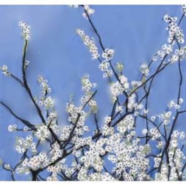 Flowers blossom Proof #1 by Yvonne Cavens