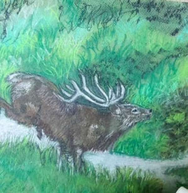 Mr Red Deer Stag #1 by Yvonne Cavens