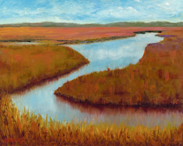 San Elijo Lagoon: 16" x 20" Giclee Prints #1 by Barbara Davies