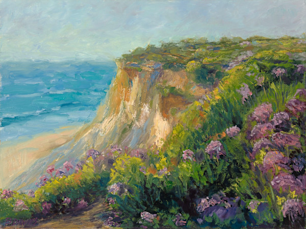 Del Mar Cliff 16 x 20 #1 by Barbara Davies