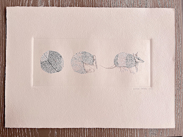 Armadillo 8/25 by Eloisa Castro