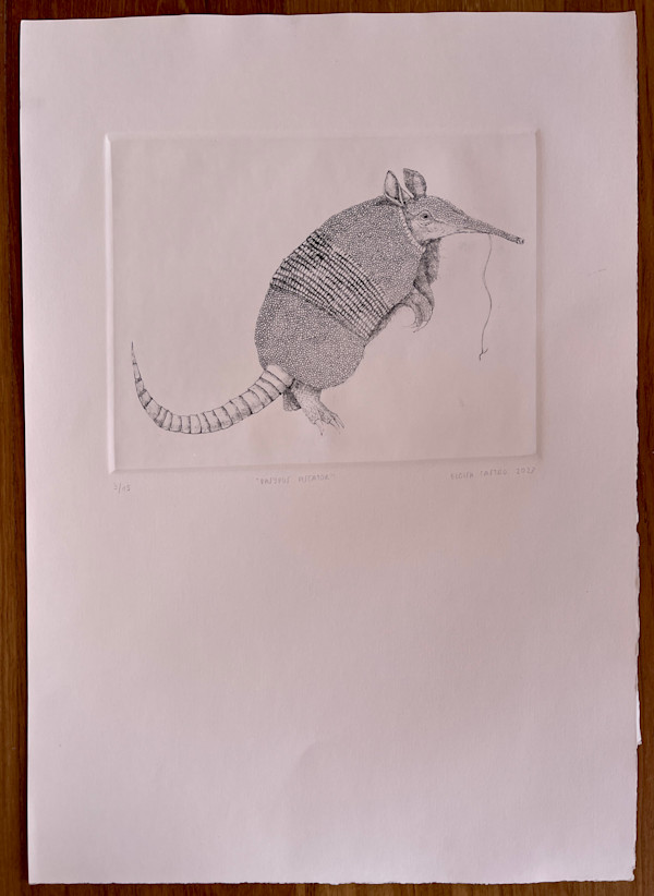 Armadillo 3/15 by Eloisa Castro