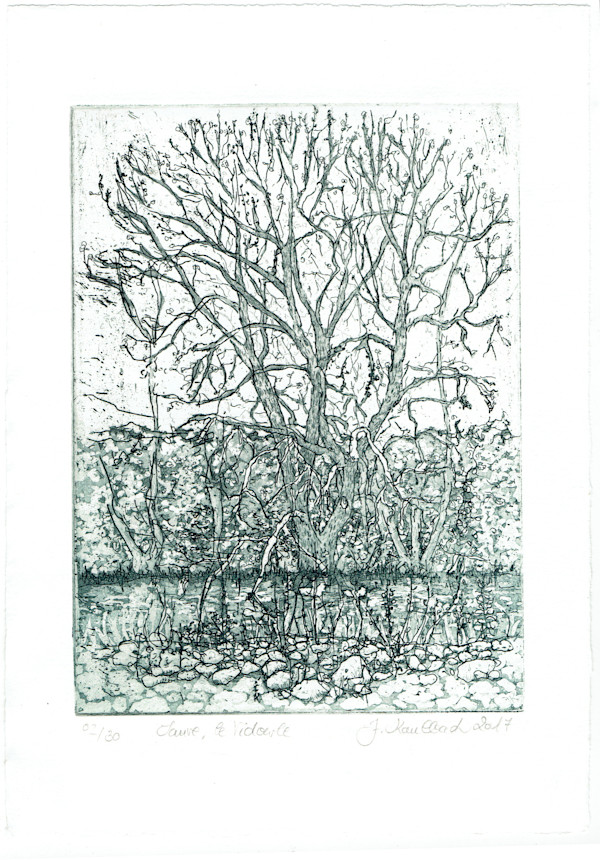 Baum, le vidourle, primtemps 1/25 by Julia Kaulbach