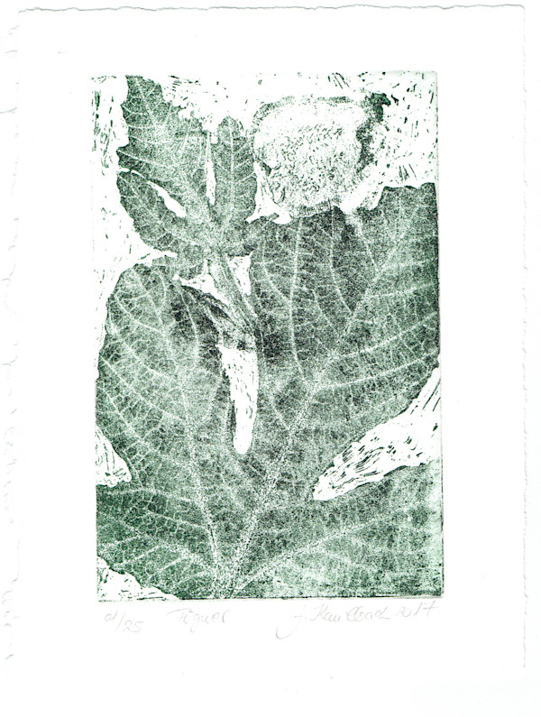 Figue vert 24/25 by Julia Kaulbach