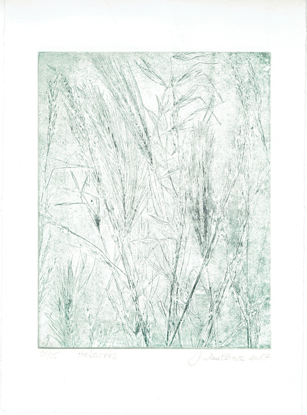 Herbes bleues 10/25 by Julia Kaulbach