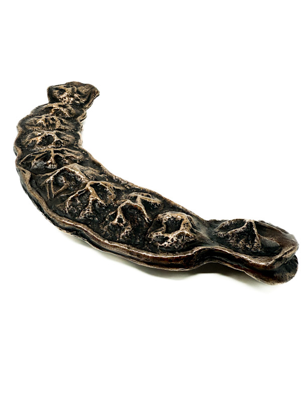 Matchbox Seedpod 3/25 by Sarah Heinamann