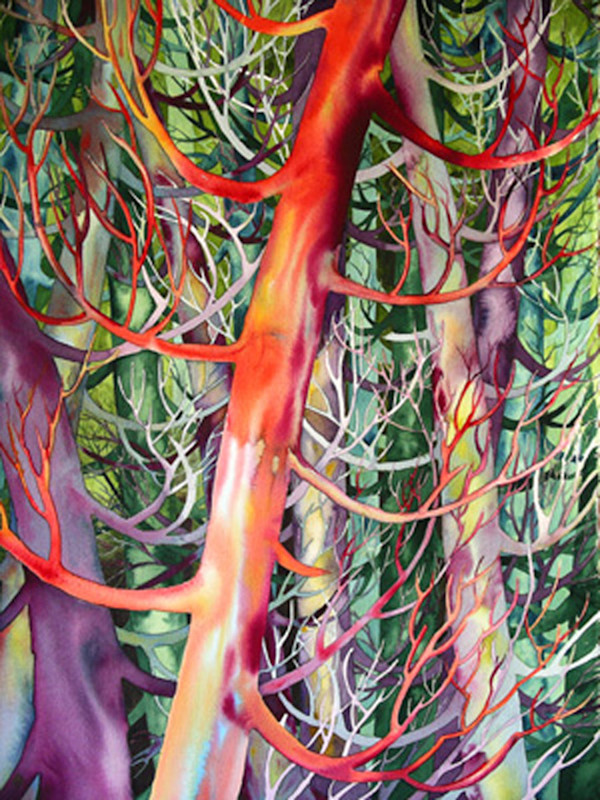 Cedar Dance I limited edition giclee 21/100 21/100 by Helen R Klebesadel
