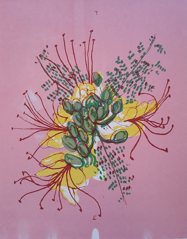 Mexican Desert Bird of Paradise 5/6 by Carol Schottenfeld