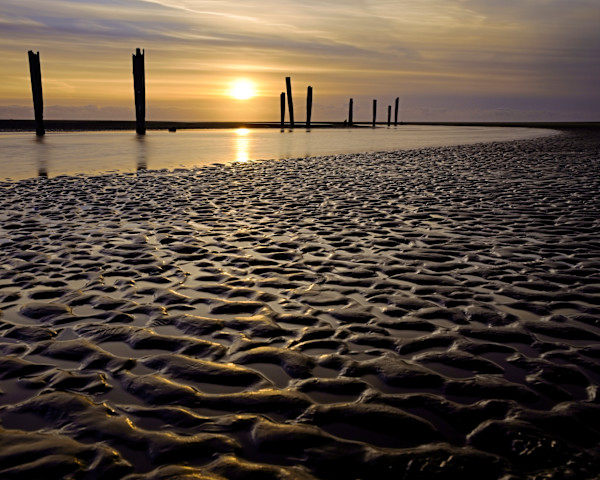 Little Things 1/10 by Bryan Sabol