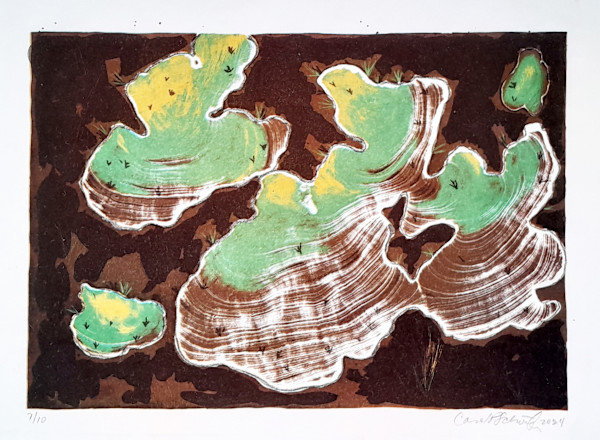 Brown Litho 4/10 by Carol Schottenfeld