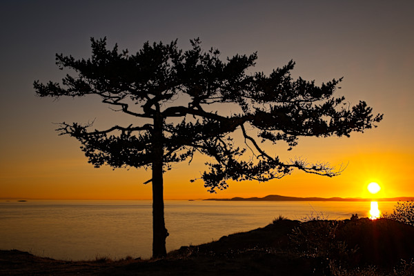 Together 1/10 by Bryan Sabol