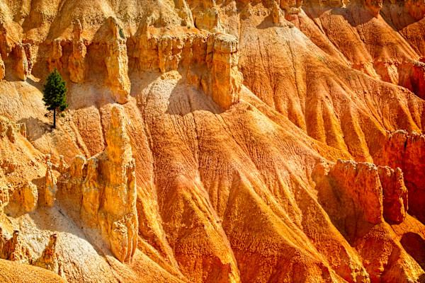 Lonesome Green 1/10 by Bryan Sabol