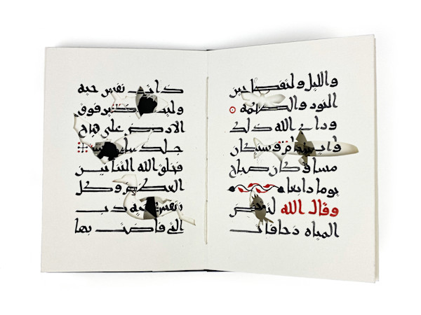 Anthropocene, Book I 10/10 by Joumana Medlej