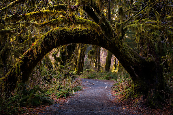 Living Gateway 1/10 by Bryan Sabol