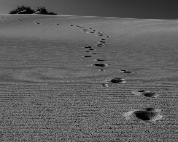 The Journey 1/10 by Bryan Sabol