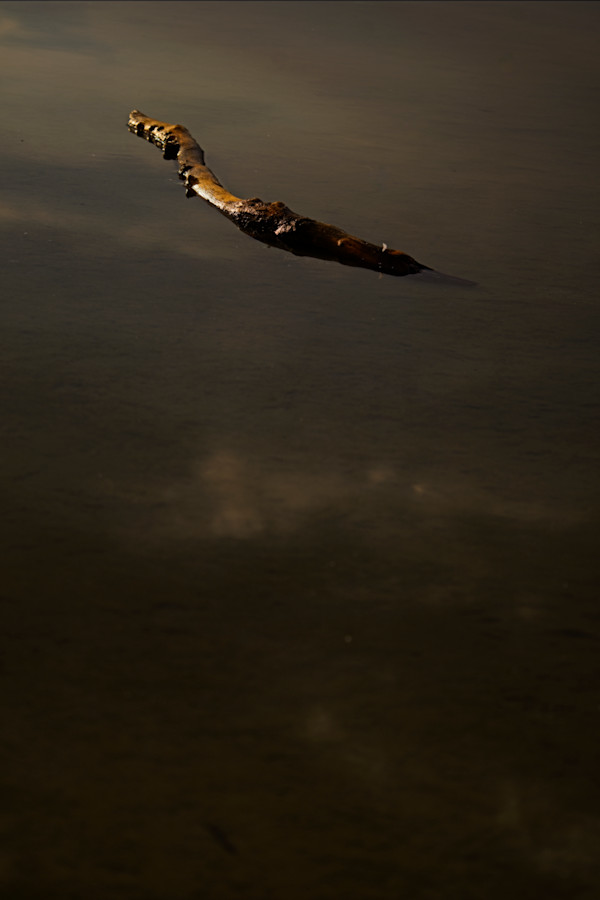 Adrift 1/10 by Bryan Sabol