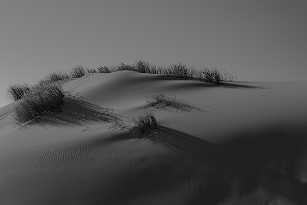 Lifesigns 1/10 by Bryan Sabol